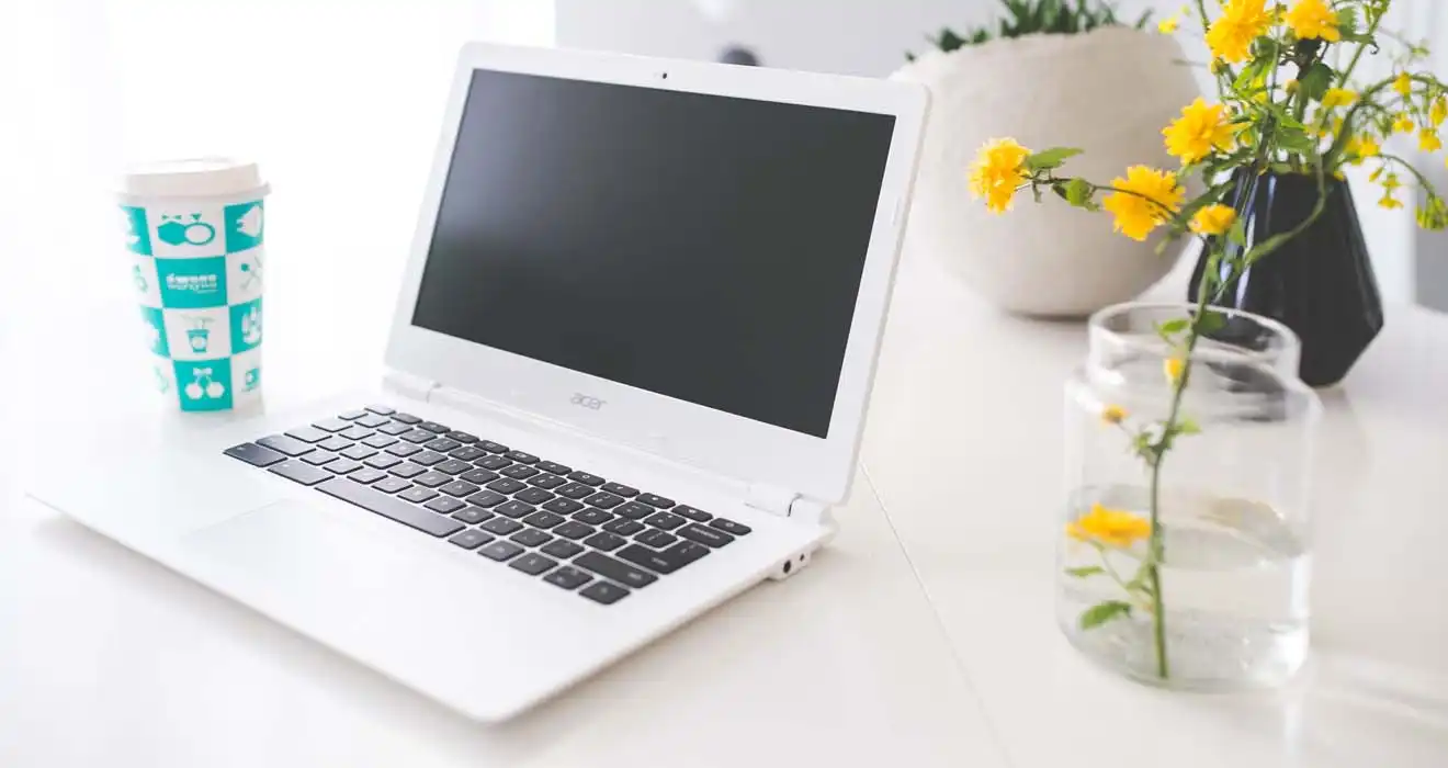 Ремонт ноутбуков Acer в Лобне