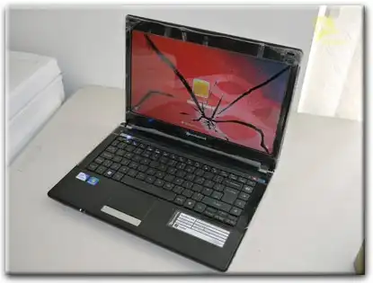 Замена матрицы Packard Bell в Лобне